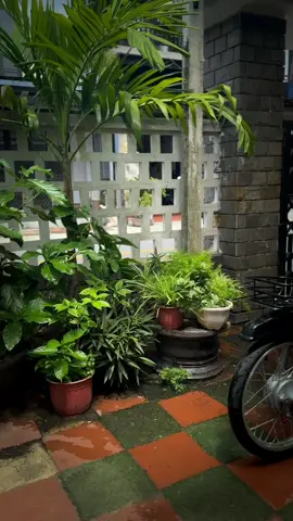 Cái nhạc dễ thương còn chiếc xe dễ gắt 😂#dreamdonkieng #supperdream #xuhuong #54zz #dream 