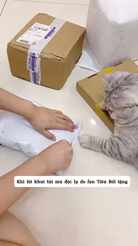 Khui túi mù độc lạ Tiểu Bối cạn lời 