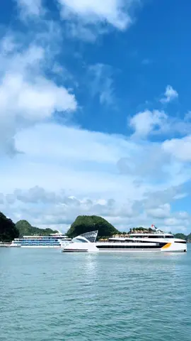 Siêu du thuyền Dolphin - Hạ Long ra mắt