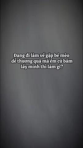 đang nhiên cái có vợ quá là hời luôn🤣#baoboidz #bovatoi 