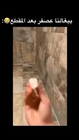 টোককে অনেক ভালোবাস