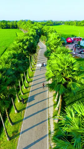 প্রকৃতির আঁচলে ঘেরা ঘুঘুডাঙ্গা তালতলী।