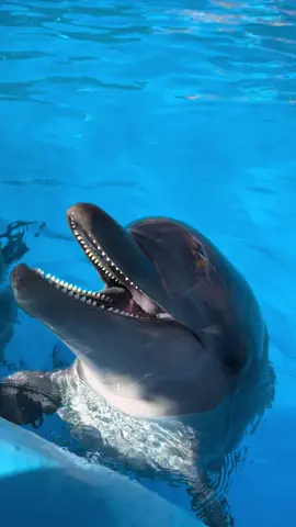 نصيحه بروموتي🐬🫶 (جمعه مباركه)