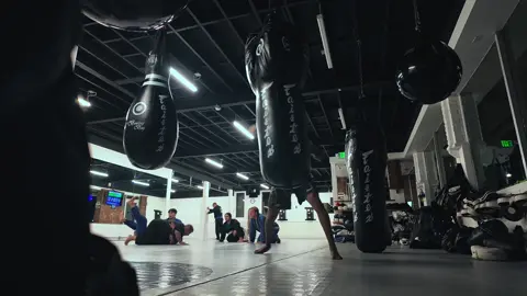 Week 3? I think maybe 4 just have fun with it! 