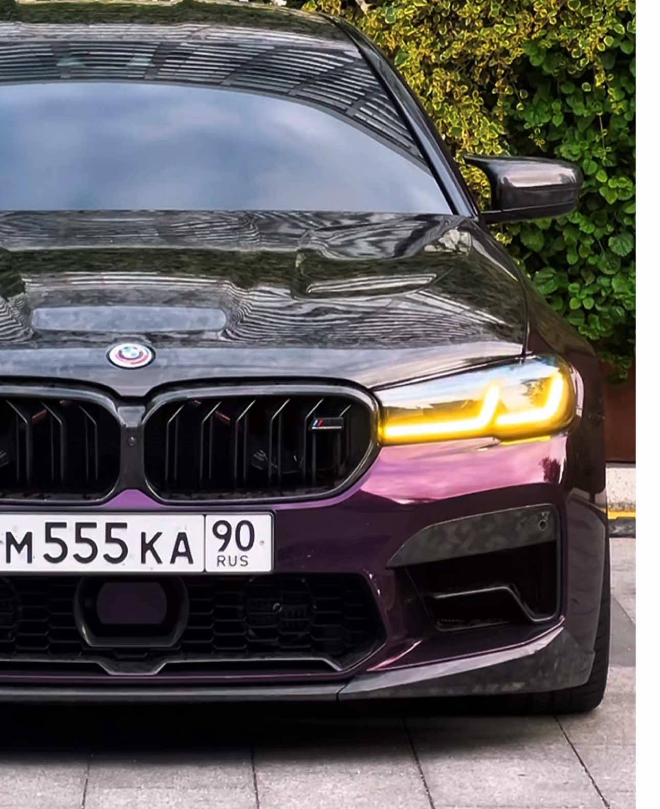 BMW M5 COMPETITION 💜 • #bmwm5 #m5 #bmwm5competition #m5competition #m5f90 