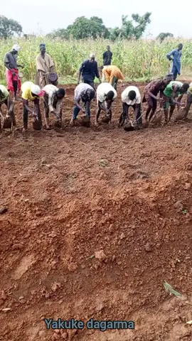 yayakuke #ubrekadorayi #Autaaboki #copcup #garba #yagamen1 #viral #momeegwambe #hamis #copcu #hamisubrekadorayi #mun #Aliyunurudeen #nidake #gausisamazagudu #yag #viralvideo #baddoo #amen1 