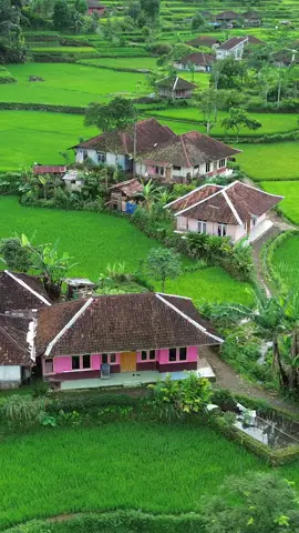 Kampung yang indah dan terasa tenang jauh dari polusi🍃 #reels #kampung #suasanakampung #cianjurselatan 