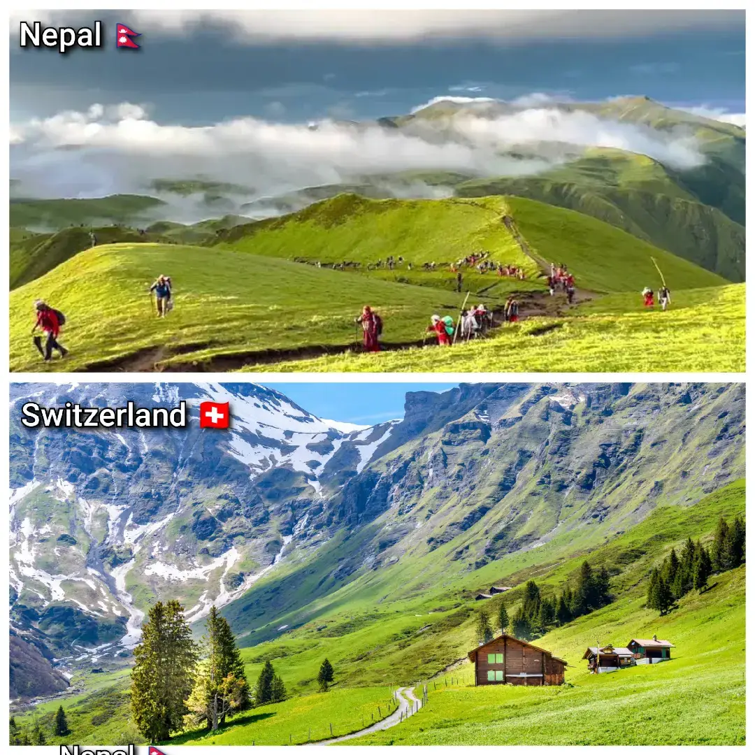 Nepal is a land of endless wonders 🌏🇳🇵. From towering mountains that remind you of the Himalayas of Japan 🏔️, to serene lakes that mirror Norway’s beauty 🌊, Nepal has it all. Wander through ancient temples and stupas 🛕 where history meets spirituality, and discover how even the smallest corners feel like the world itself. Step into Nepal’s forests and hills 🌿, where nature thrives just like the jungles of Germany 🌲, or roam the deserts of Mustang 🏜️ that echo the sands of Jordan. From traditional houses with Tibetan-style roofs 🏡 to clock towers resembling those in the UK ⏰, every street and village tells a story that feels global, yet uniquely Nepali. And when night falls 🌃, Nepal’s cities shine just like Tokyo or New York, bustling with life and energy ✨. Whether it’s rivers, rice terraces, or bustling streets, Nepal offers a glimpse of the whole world in one place. Come and see why this tiny country holds everything the world has, all in one breathtaking land ❤️🇳🇵. #nepal #viral #respect #world 