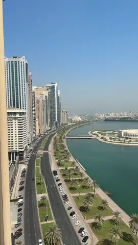 #سيدعلي #🇦🇪🇮🇶 #