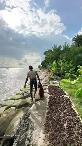#গ্রামের_প্রাকৃতিক_সুন্দর্য_আমার_মুগ্ধকর #fpyシviral🖤video #