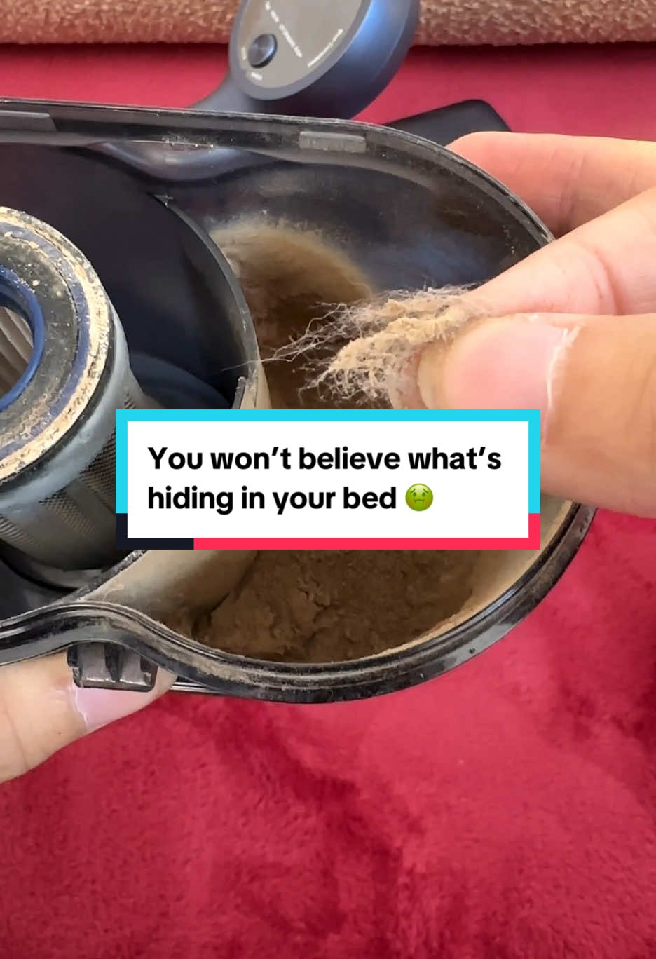 You won’t believe what’s hiding in your bed 🤢 #teant #TEANT #comeback #dustmites#dustmiteallergy #TikTokShop #cleaning #mattressvacuum #deepclean #fyp #foryoupage #foryou #musthave #tiktokmademebuyit #healthyliving #homecleaning #vacuum #mattresscleaning #ShopVideoCarnival#shopvideocarnlval #dealsforyoudays#TikTokShopSummerTurnUp #SelfCare #grwm #elevateyourhome #treasurefinds #sunsetsavings #treasurefinds #seasonalessentials #selfcarefinds #makecozyhomeaffo #smartliving #RushTok2025 #TikTokShopBacktoSchool #videowave #TikTokShopRestock
