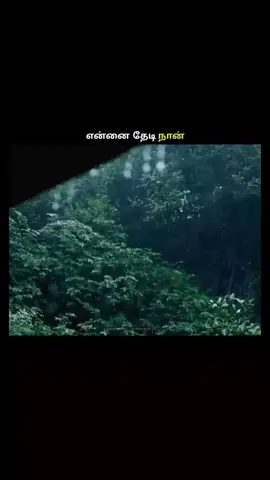 என்னை தேடி நான் ❤️