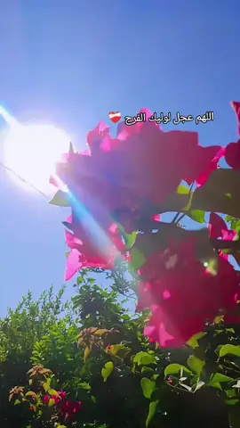 ولنا في الجمعه ميعاد#متابعه_ولايك_واكسبلور_فضلا_ليس_امر #صلاح_الدين_بلد #متابعة #صلاح_الدين_بلد #لايكت생일축하해r사랑해❤🦄 