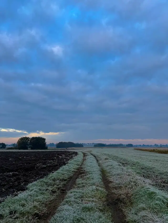 The first heavy frost and silence  #naturephotography #nature #countryside #fyp #october 