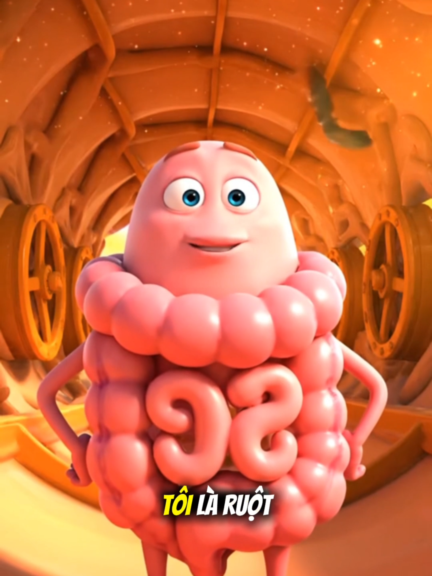 Khi ruột già gửi tâm thư cho chủ nhân!!! Bạn đã nhận được chưa? #khoahocvui #suckhoechomoinguoi #pixarparody #ruotgia #viemdaitrang