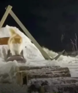 Snow cat  #fyp #memes #funny #viral #cat #cats #snowboard 