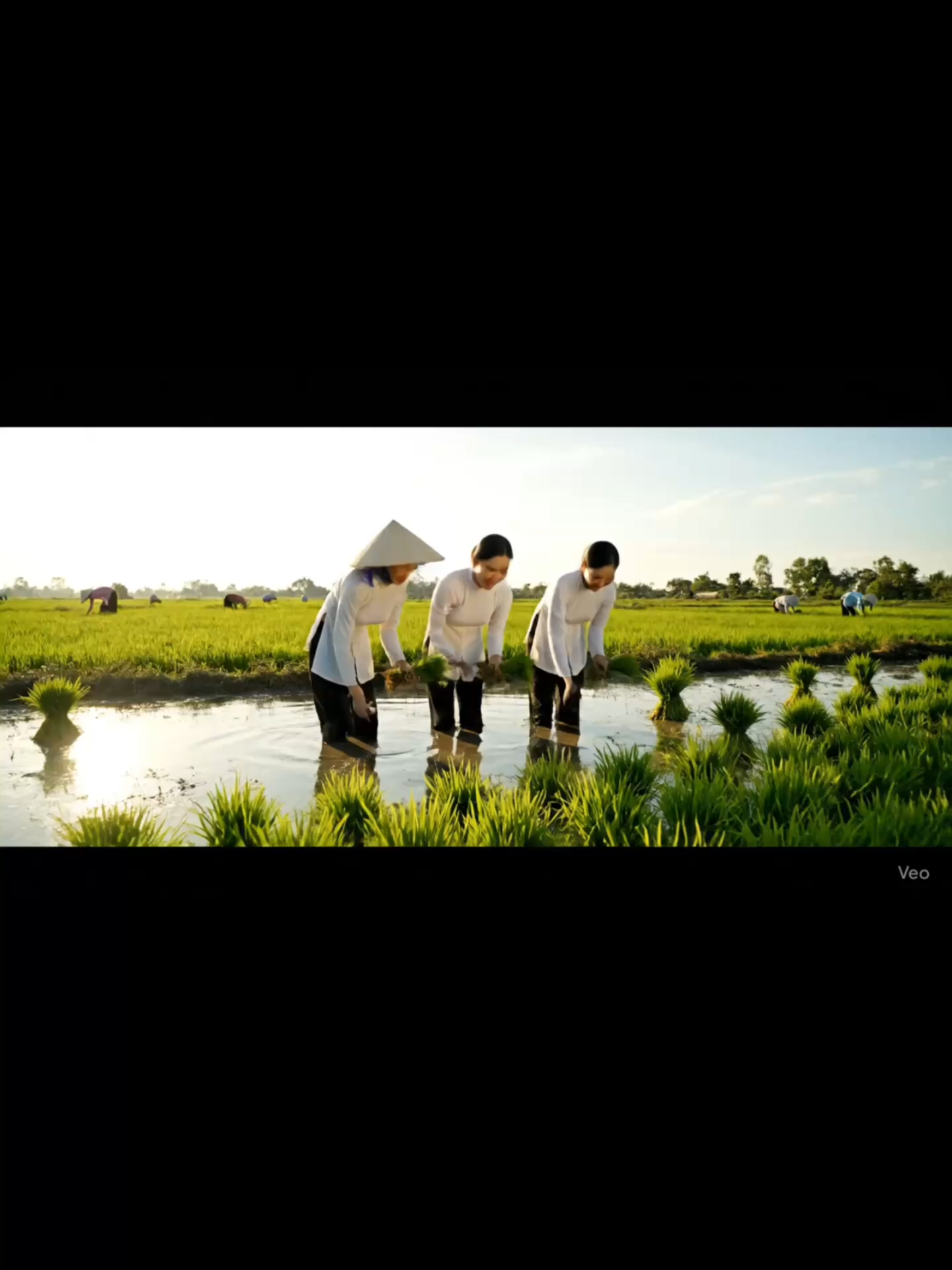 Vè đi bay hẹ hẹ hẹ #giaitri #xuhuong #cliphai #ai