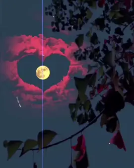 جيئڻ به منھنجو بس موت مثال ٿي ويو آھي #unfreezemyacount #mastermanzoorsindhisong #viralstatus #sindhistatus #growmyaccount 