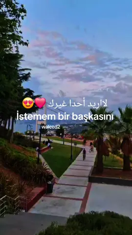 İlle de Sen الا انت فقط #istanbul #explore #اغاني_تركيه_مترجمه #اغاني #اكسبور_متابعة_لايك 