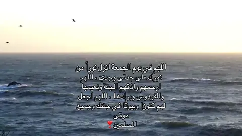 #الحمدالله_علی_کل_حال❤ #قران_كريم #fyp #الشعب_الصيني_ماله_حل😂😂 