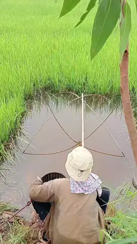មានអីភ័យទៀតបើរស់ពឹងលើកម្លាំងខ្លួនឯង#fyp #fypシ