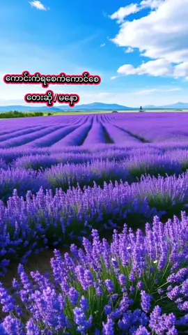 #သီချင်းချစ်သူများအတွတ်😘😘😘🎼🎵🎶 #fyppppppppppppppp🇲🇲🇹🇭 