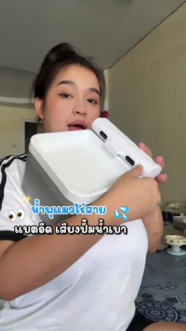 #ทาสแมว #น้ําพุแมว #น้ําพุแมวมินิมอล #น้ําพุแมวอัตโนมัติ 