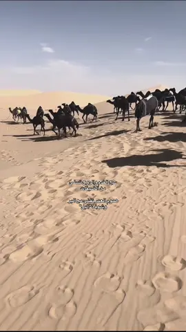 اي بالله #عطايا_الله🐪 #CapCut #اكسبلور #fyppppppppppppppppppppppp #الشعب_الصيني_ماله_حل😂😂 