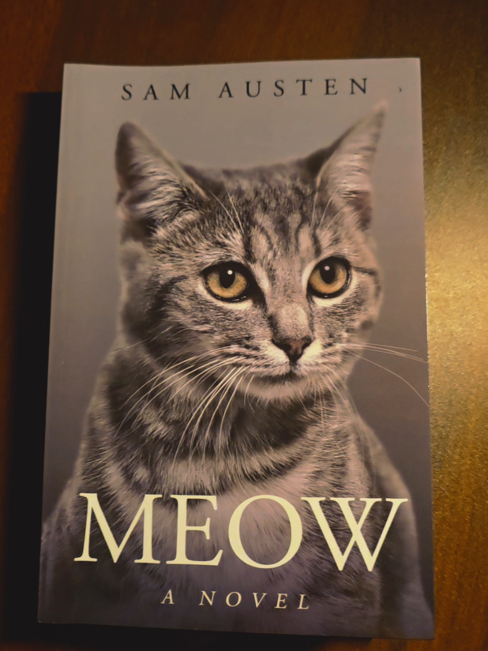 ตอบกลับ @pasu.d ผมนี่แหละ😄😄😄 #BookTok #รีวิวหนังสือ #แมว #ทาสแมว #บรรทัดที่9 