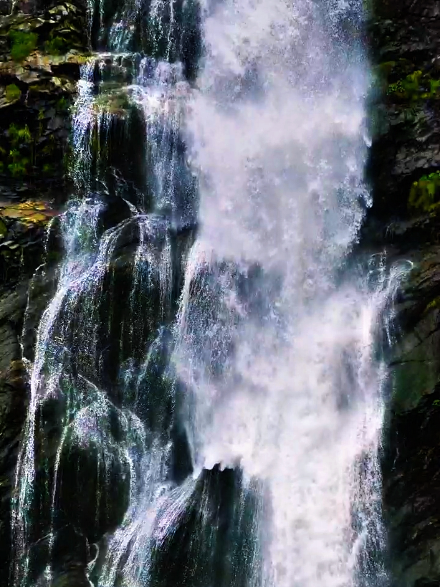 #creatorsearchinsights 