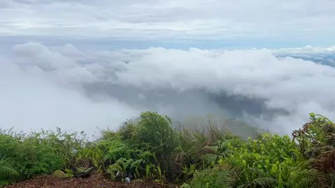 Selain tempat sepi dan tinggi hal apa yg bisa membuatmu tenang? #forest #halauhalau1901mdpl 