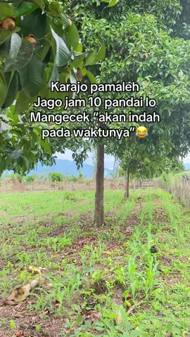 Pinjam sound nya banhh😂 #fypage 