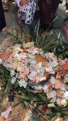 Tradisi Meboros di Desa Busungbiu😇🙏🏻 suksma sampun polih i Bulu Pangi 🦌 #meboros #busungbiu #pujawali #odalan #fyp 