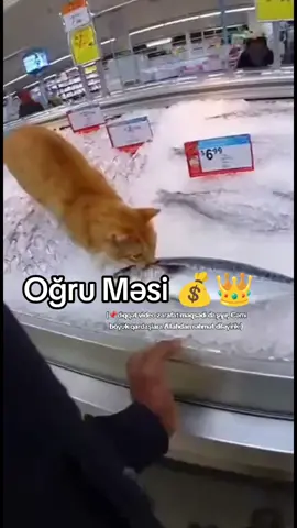 #dolya #keşfet 