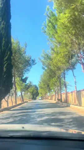 #lebanon #lebanon🇱🇧 #trip #tripoli #لبنان #لبنان🇱🇧 #هاني_شاكر #صباح_الخير 