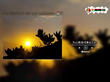 #الشعب_الصيني_ماله_حل #toumastin_air_akaline_azawad_derhanine✌️ #Touareg_kidal_vive_touaregs_aw_tamachaQ_air_azawad_azawagh_imidiwane🙏 #agadez_guida_♓ⵣ #tamachaq 