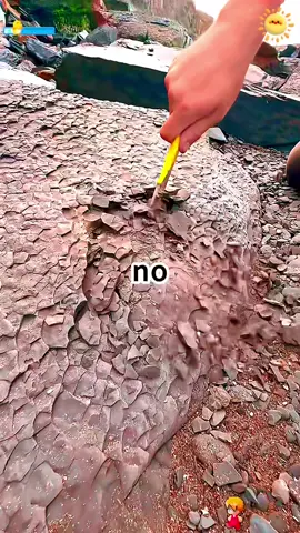 TiktokTeamPleaseDon'tUnderReviewMyVideo😡#ask#askreddit#LearnOnTikTok#reddit#satisfying