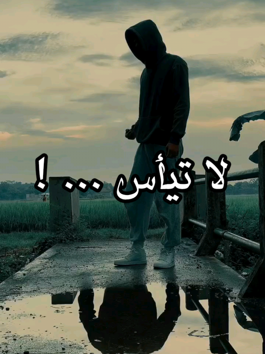 لا تستسلم #تحفيز #النجاح #لا_تستسلم #motivation #تحفيز_كمال_اجسام 