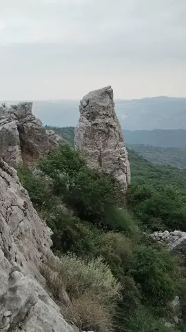 @Zimdar Chakwalia @Zimdar Chakwalia 