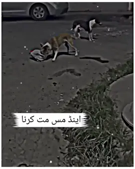 😊❤️#foryoupage #varil #foryou #funnyvideos #trendingvides 