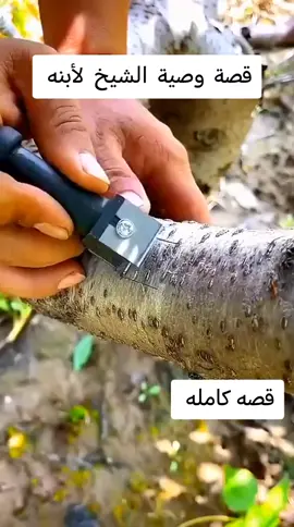 #قصه #اكسبلورexplore #اليك #متابعة 