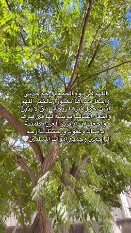 اللهم امين يارب العالمين 😔 #الله_يرحمك_ويجعل_مثواك_الجنه_يارب #لايكات #اكسبلور #يوم_الجمعة 🤍