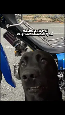 Ủa anh 54zz hay 54hp vậy anh 😂😂#xedo #54redleo #wavenho 