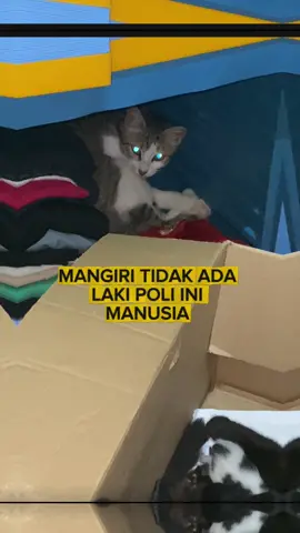 Kypa nanti LAHIRAN di Baju utiii😭😭😭😭 #fyp #fy #for #fypシ #beranda 