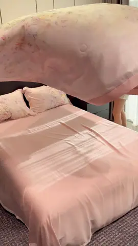 [TẶNG VỎ GỐI ÔM] Bộ chăn ga gối #changa #changagoidem 