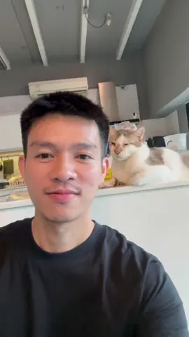 เก้อเองงง 😂 #แมว #cat #fyp #fypシ #แมวตัวโปรด 