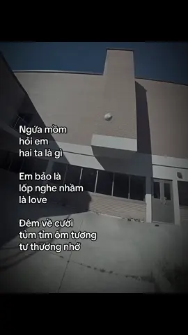 #mquanhaysuyy #fbtxuhuong #fyp #tamtrang #tinhyeu 