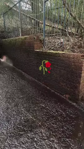 #galaubrutal🥀 #fyp 