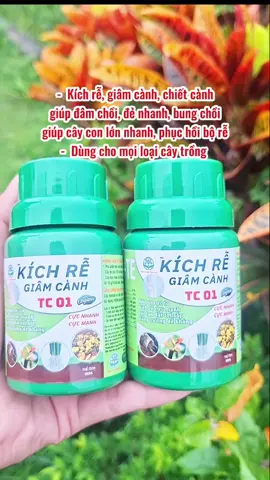 KÍCH RỄ CỰC MẠNH TC01 - kích rễ, giâm cành, chiết cành. Giúp cây đâm chồi, đẻ nhánh, bung chồi, phục hồi cây #kichre #kichretc01 #phanbon #vtnn #nongnghiep 