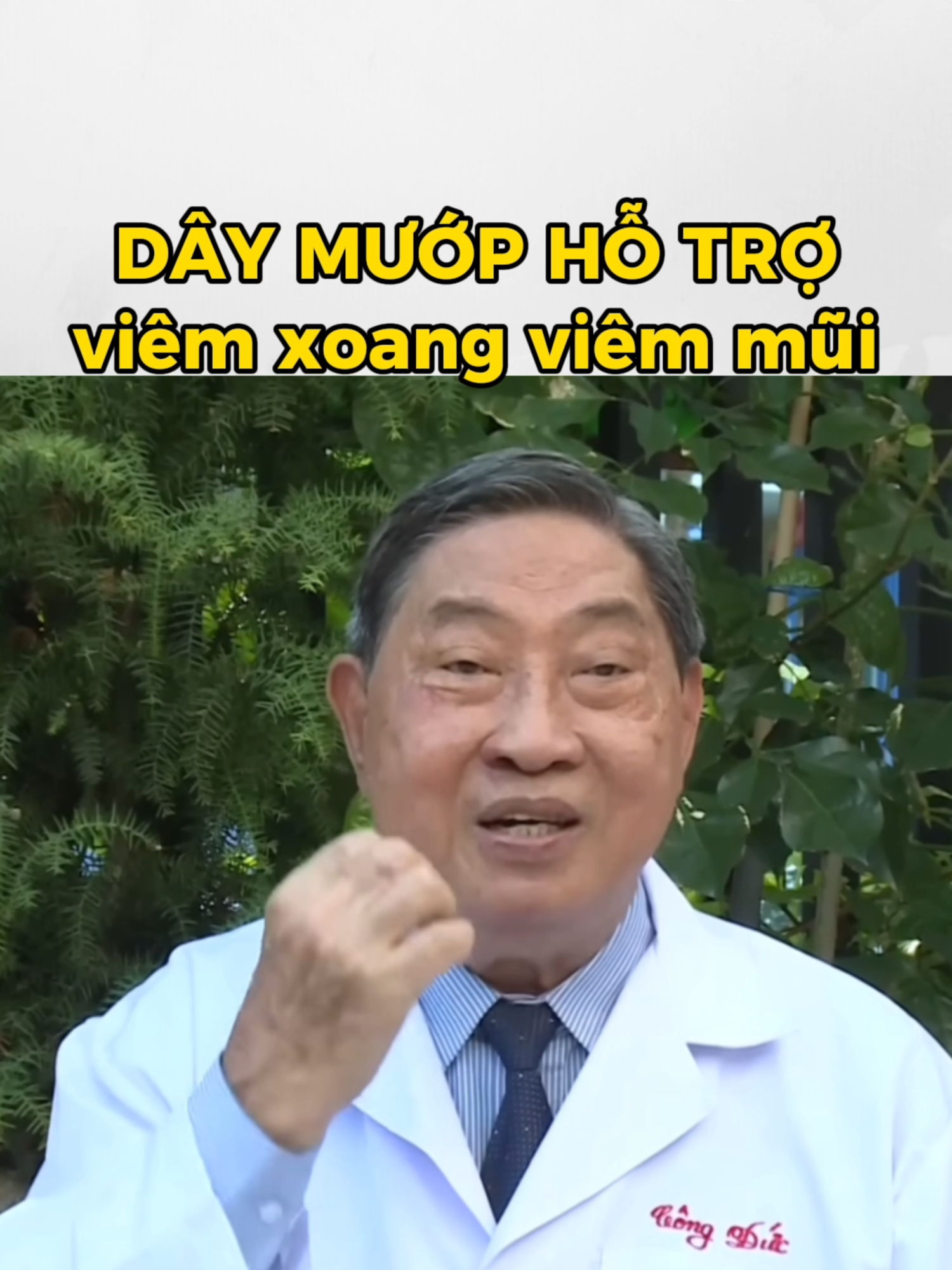 Dây mướp hỗ trợ viêm xoang #mướp #tieuduong #viemxoang #nguyencongduc #baithuocdangian #baithuochay #xuhuong #LearnOnTikTok #viral